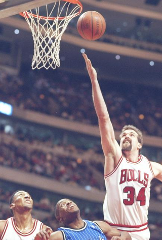 Illustration for article titled The 72-10 Chicago Bulls: Where Are They Now?
